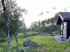 Modern Ål Cabin At The Foot Of Reinskarvet