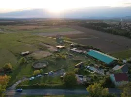 Black Ring Ranch