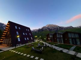 Vidis Chalet Boutique Hotel，位于泰斯的酒店
