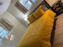 Vintage 2 Bedroom Condo Lake Eola View