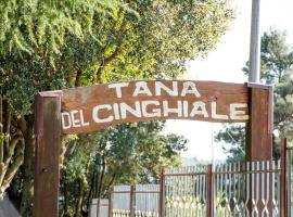 La Tana Del Cinghiale，位于Tirli的酒店