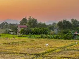 Serene Stay Balcony Ricefield