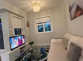 Two bedroom apartment with riverview in Calgary downtown