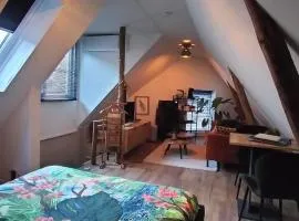 Wellness B&B Hartje Coevorden met privé sauna en airco