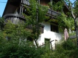 Ferienwohnungen in Schönmünzach