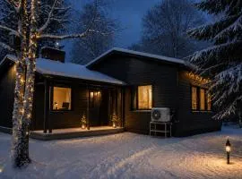 Lapland Dream House