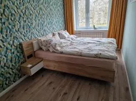 Malmi kodu