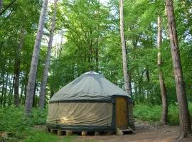 Adhurst Yurts