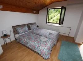 Bella holiday home! A piece of countryside, nature but close to center of Banja Luka ! Garage ! 4 bedrooms