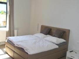 塔佩斯霍夫花园住宿加早餐旅馆，位于辛齐希的带泳池的酒店