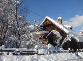 Chalet Ramsau 8，位于巴德哥依斯恩的酒店