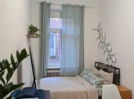 Private room in cozy appartment