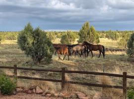 Cabin with Wild Horses, Fireplace, Dog Friendly & StarLink，位于Overgaard的酒店