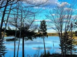 Wildlife Waterfront Log Cabin 10 steps to beach