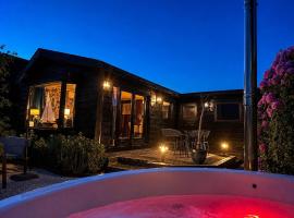 Het huisje aan het water in Loosdrecht Hottub & Sauna，位于洛斯德雷赫特的酒店