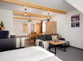 Golden Apartments - Villa Taternik - Mountain View