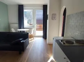 Familienapartments Wildemann