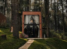 Cabañas Boutiques TinyChillHouse，位于小米内拉尔的酒店