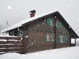 Holzhaus in Hinterstoder，位于茵特斯托德的酒店