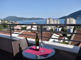 Apartments Anastasija，位于赫尔采格诺维的酒店
