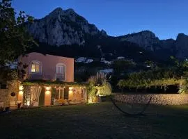 Villa Coralia with Seaview - 10 minute walk to the Piazzetta