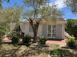 Villa Camelia