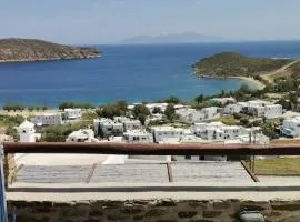Flora's House