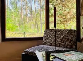 Nature Bungalow in Ferch