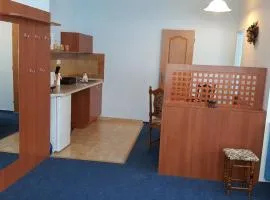 阿拉乌配托瓦尼酒店