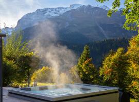 Hotel Waldegg - Adults only，位于英格堡的酒店