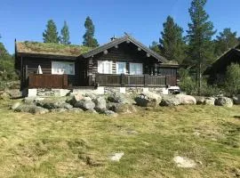 Log Cabin With Turf Roof Near Rauland