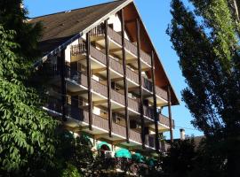 Hotel Les Barnieres，位于吉莱斯特尔的酒店