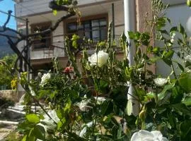 İzol Apart Evleri