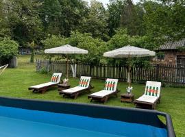 Cabana Oana 5-bedrooms chalet，位于阿拉德的酒店