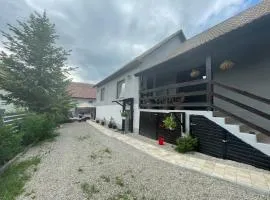 Casa de oaspeți Cristina