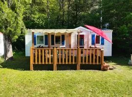 MOBIL-HOME n 95