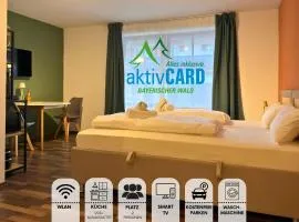 Designapartment Zwiesel Pool Sauna AktivCard Balkon Bayerischer Wald
