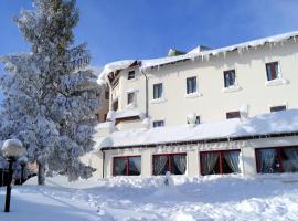 维多利亚酒店，位于利维松多里的酒店