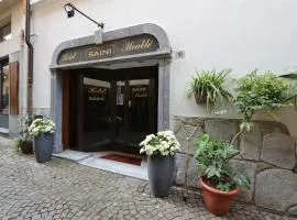 Hotel Saini with Air conditioning