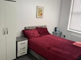 PLUS Properties Dike 1