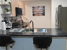Serene luxury apartment