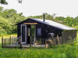 The Old Apple Shed cosy heated cottage in a meadow close to the charming village of Bethersden，位于阿什福德的酒店