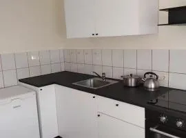 Apartment in Pašilaičiai. Self check-in. Parking