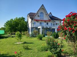 Tina Guest House，位于Basarabi的酒店