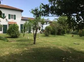 Maison au calme