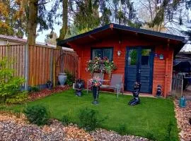 Chalet op een rustig park in de natuur