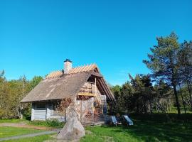 Romantiline saunamaja Pädaste lahe ääres，位于帕达斯特的酒店