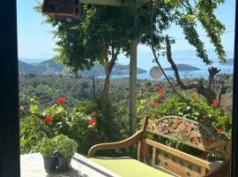 Tierra