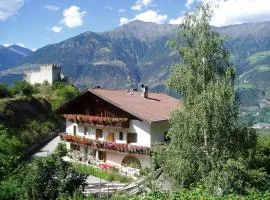 Montani