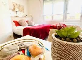 Le boudoir Béthunois - Appart hôtel centre - all confort